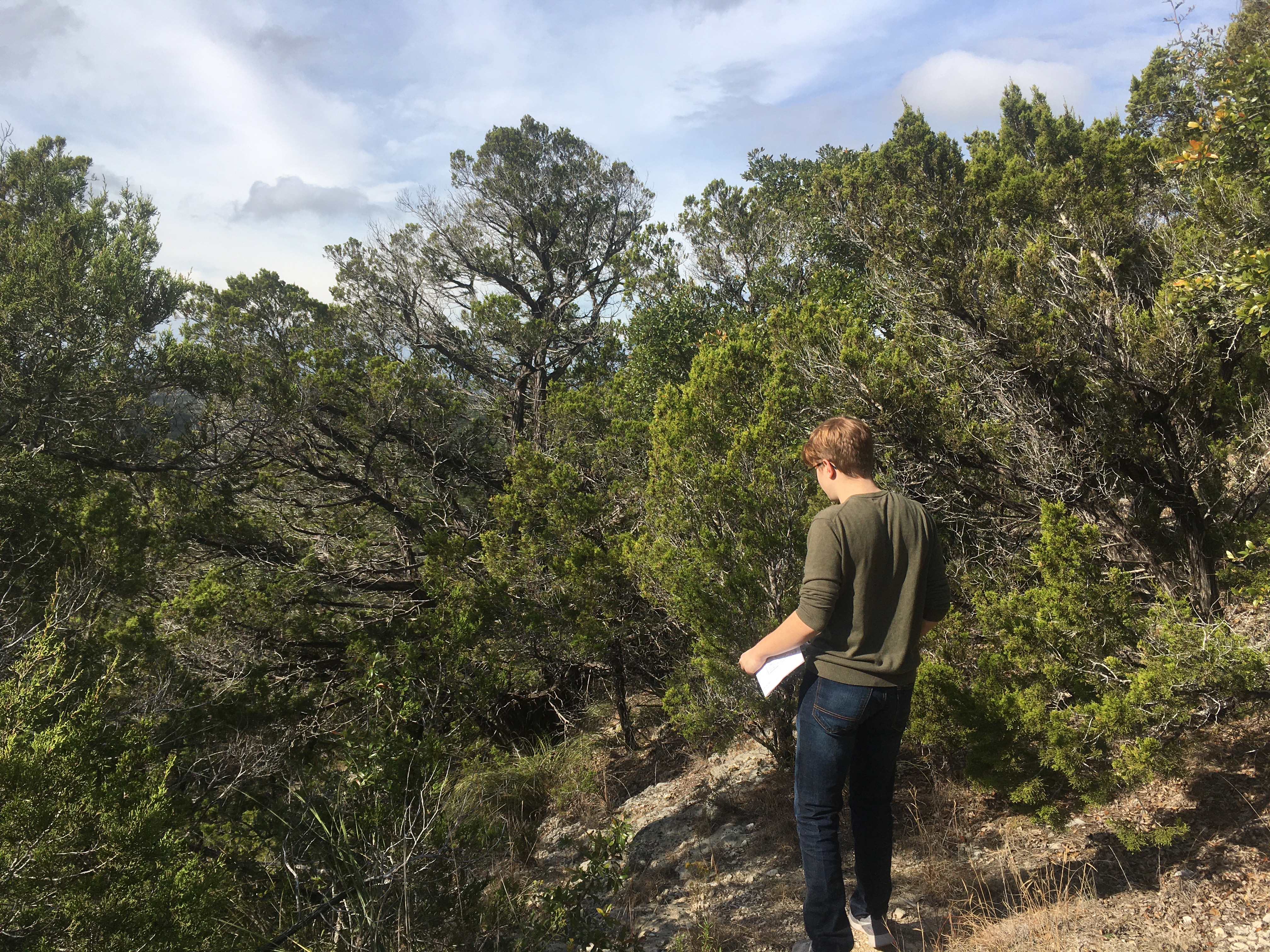 brother looking at the view, with lots of trees behind him